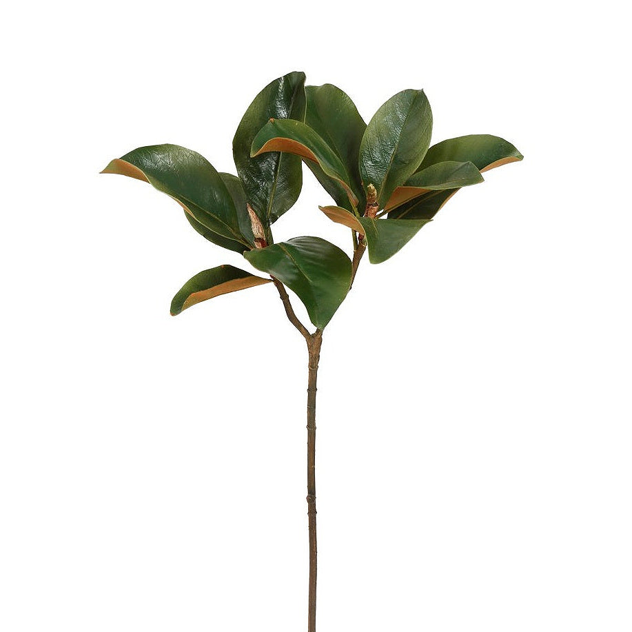 Winward Estate Magnolia Foliage 64cm