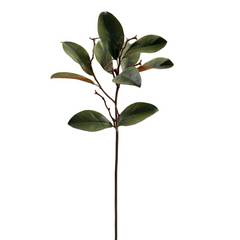Winward Estate Magnolia Mini Foliage 72cm