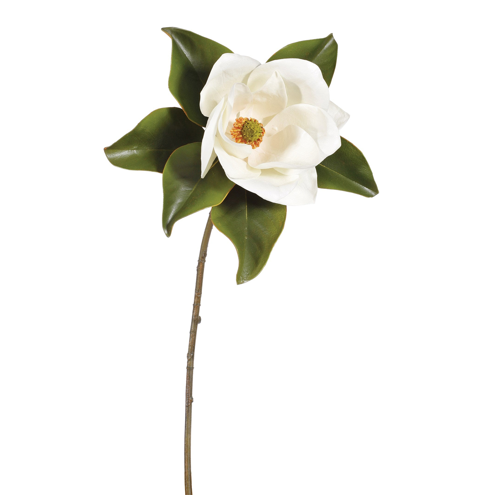 Winward Glorious Magnolia Bloom 61cm