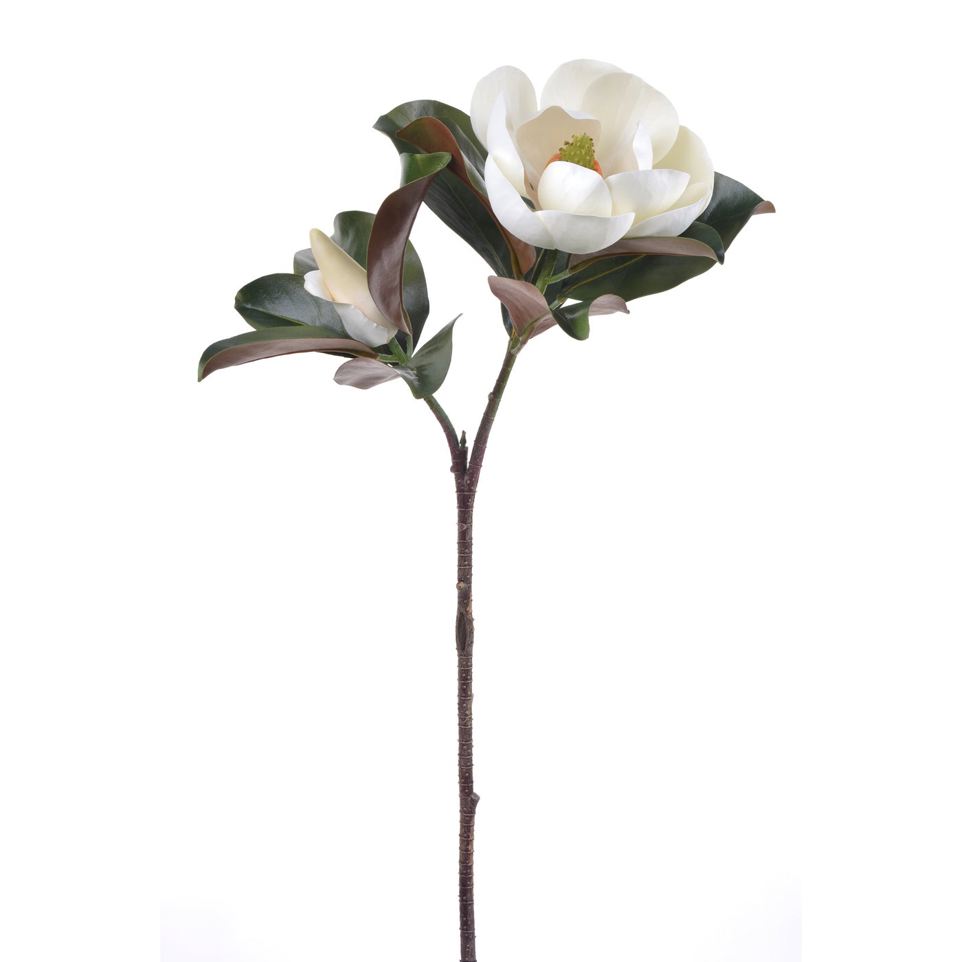 Winward Radiance Magnolia Bloom 79cm