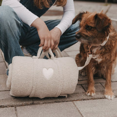 Hundedecke creme M