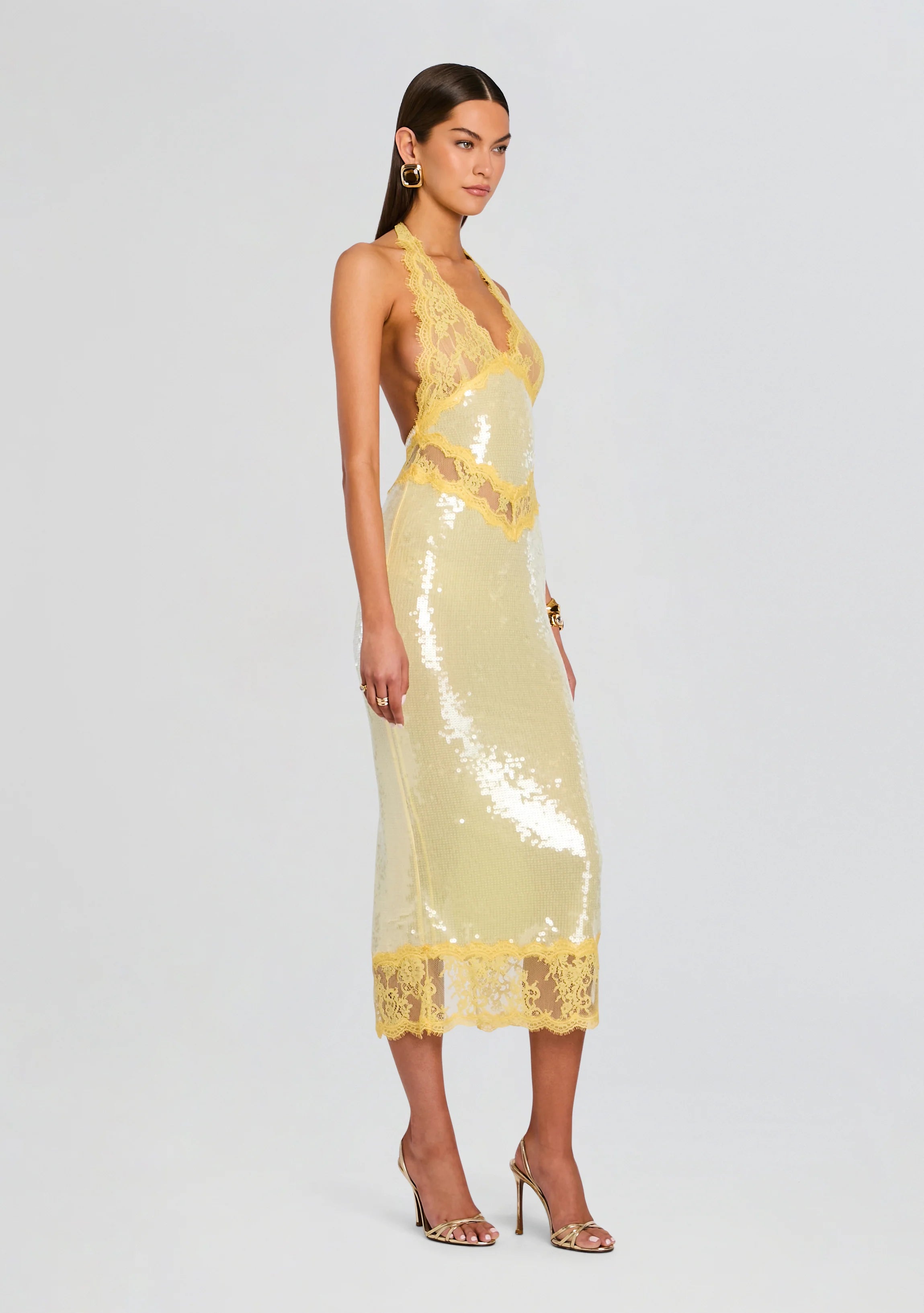 Vicky Sequin Lace Dress