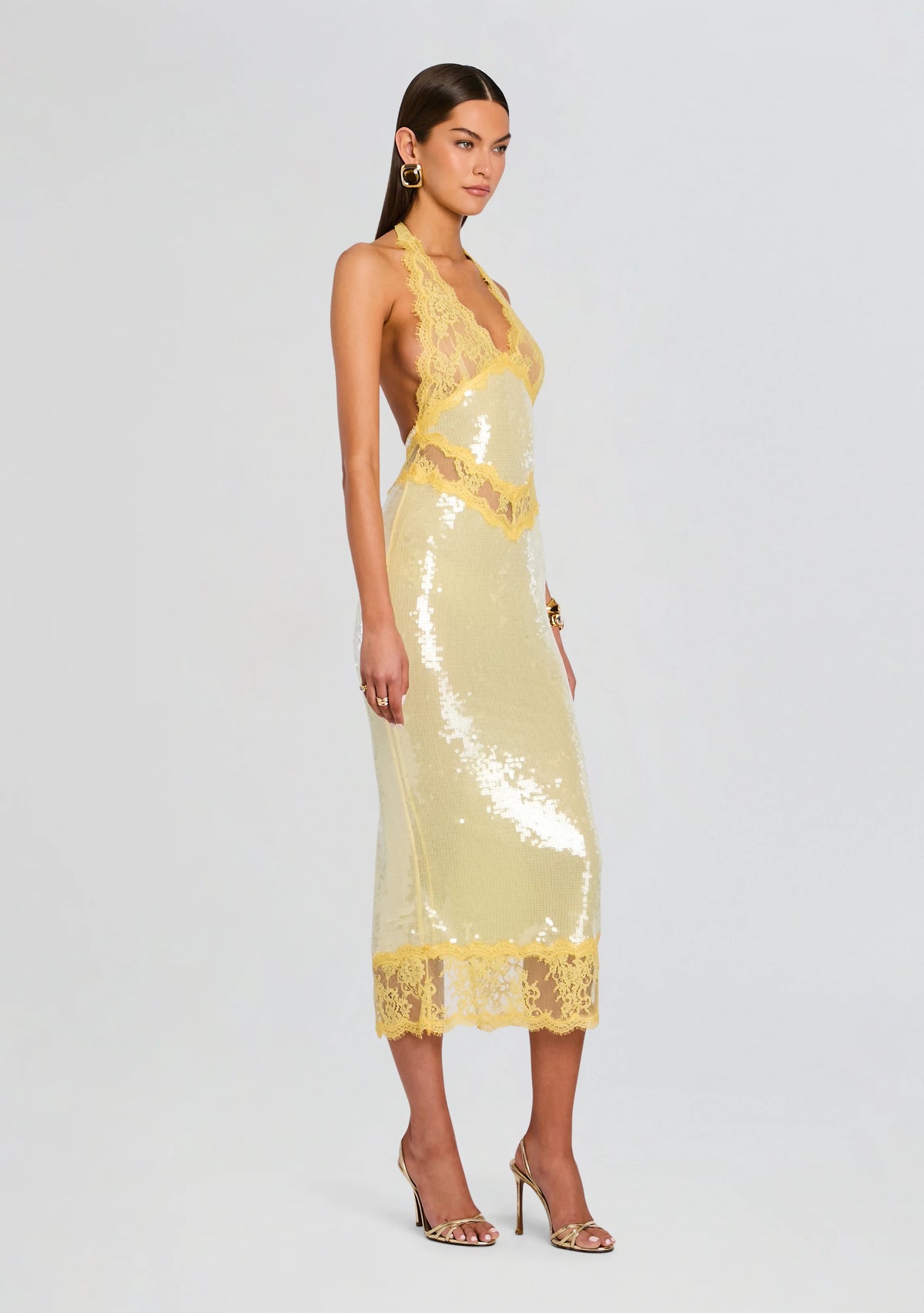 Vicky Sequin Lace Dress