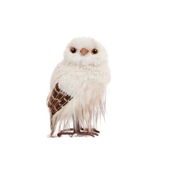 Birchwing Owl Ornament Small 16cm