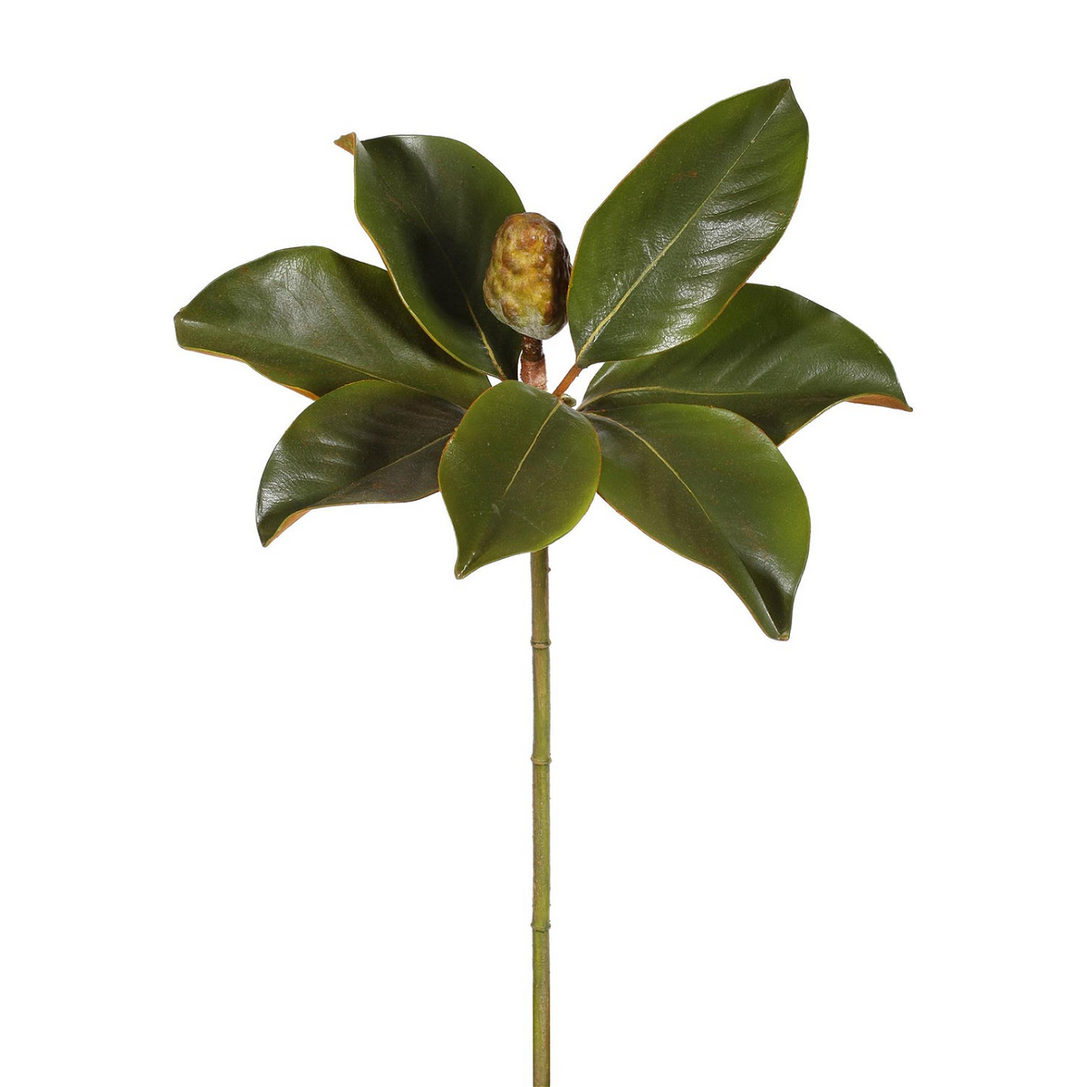 Winward Estate Magnolia Bud Foliage 51cm