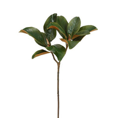 Winward Estate Magnolia Foliage 64cm
