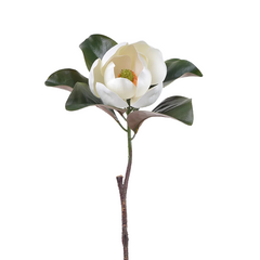 Winward Awakening Magnolia Bloom 24