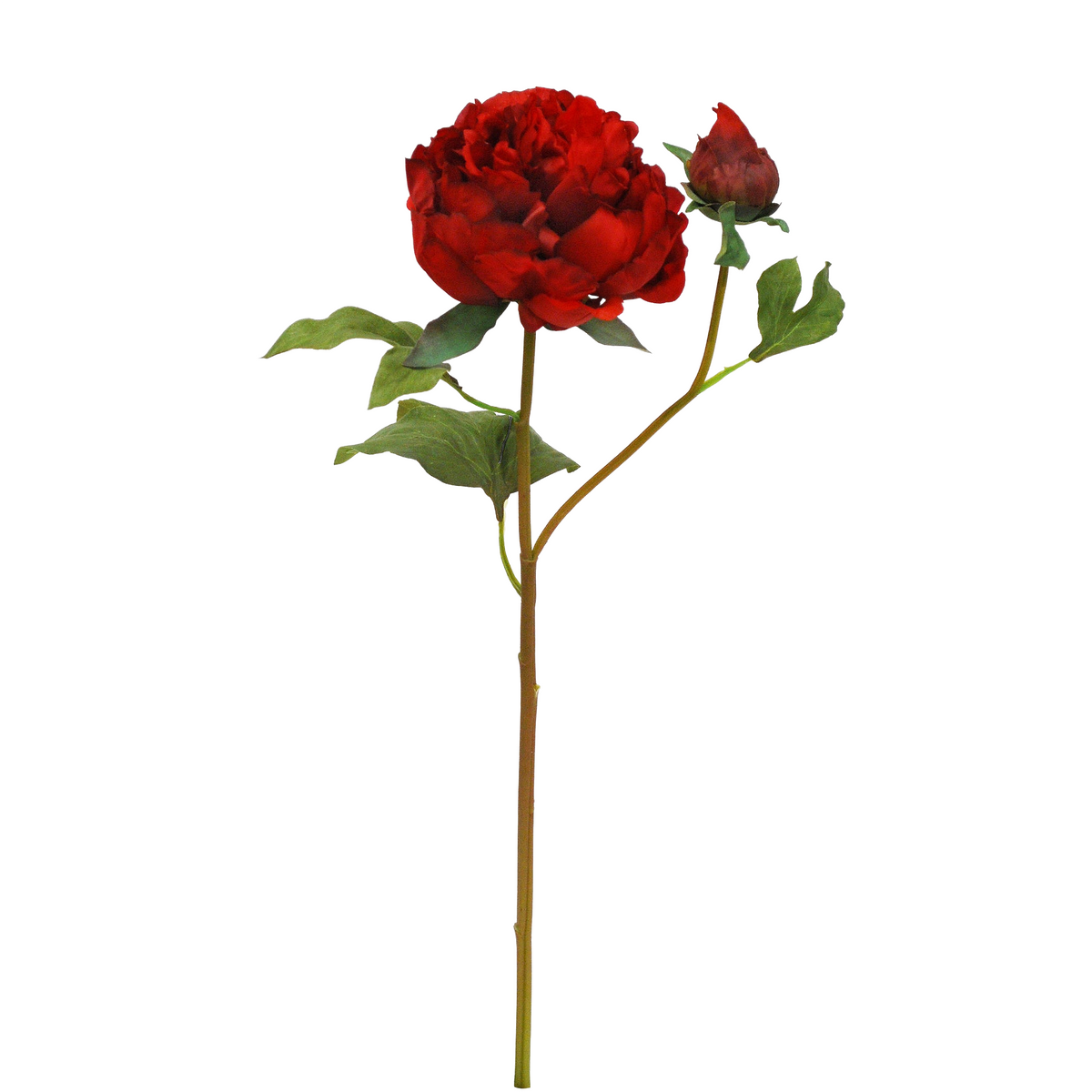 Winward Crimson Rouge Peony With Bud 50cm