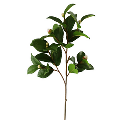 Winward Camelia Bud Foliage 72cm