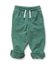 Ivy Oakley Jogger