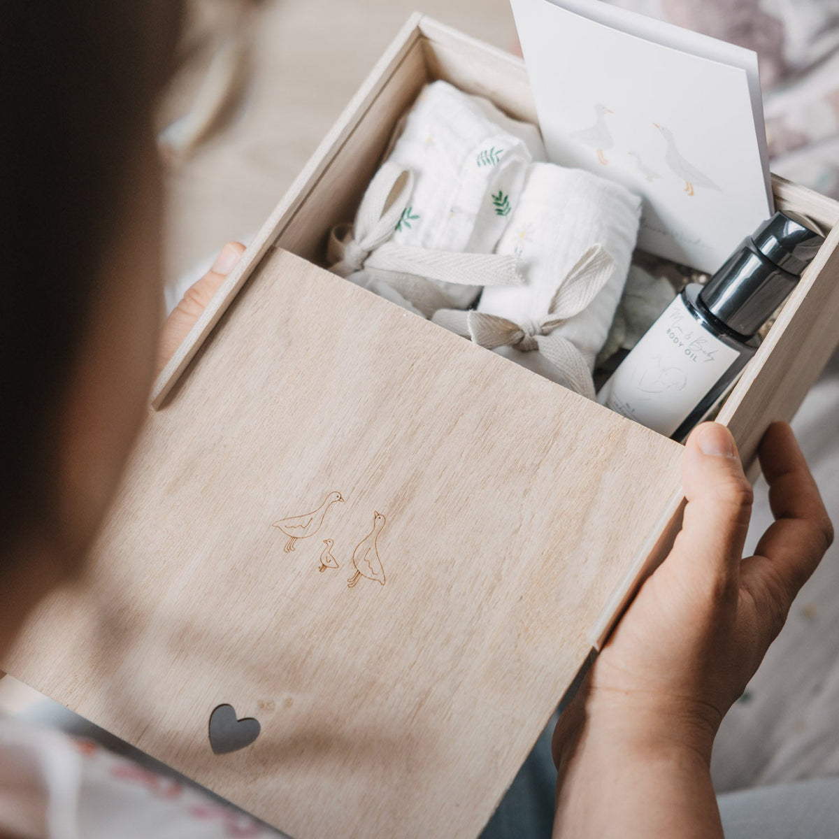 Erinnerungsbox Gänse
