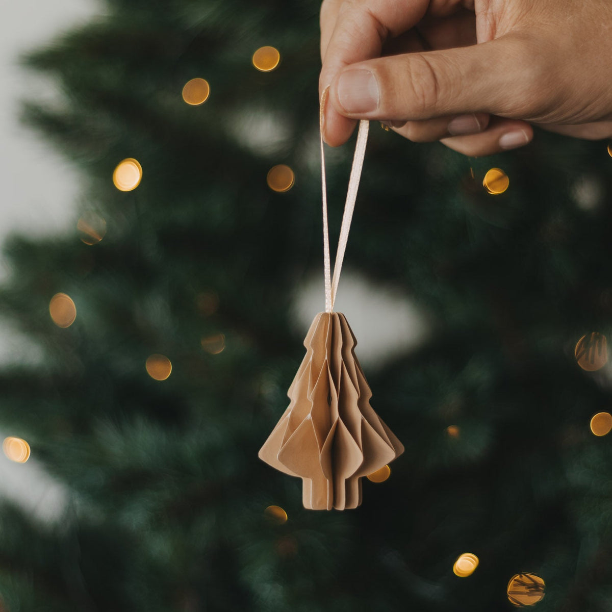 Papieranhänger Tanne 3er Set braun