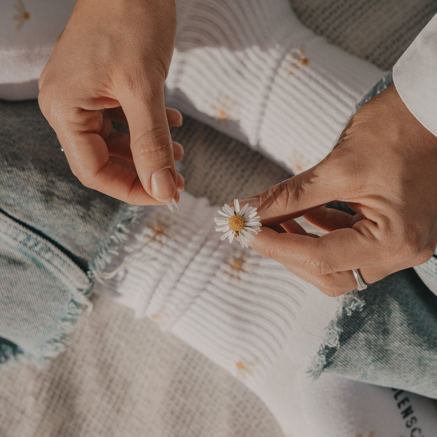 Socken Allover Daisy