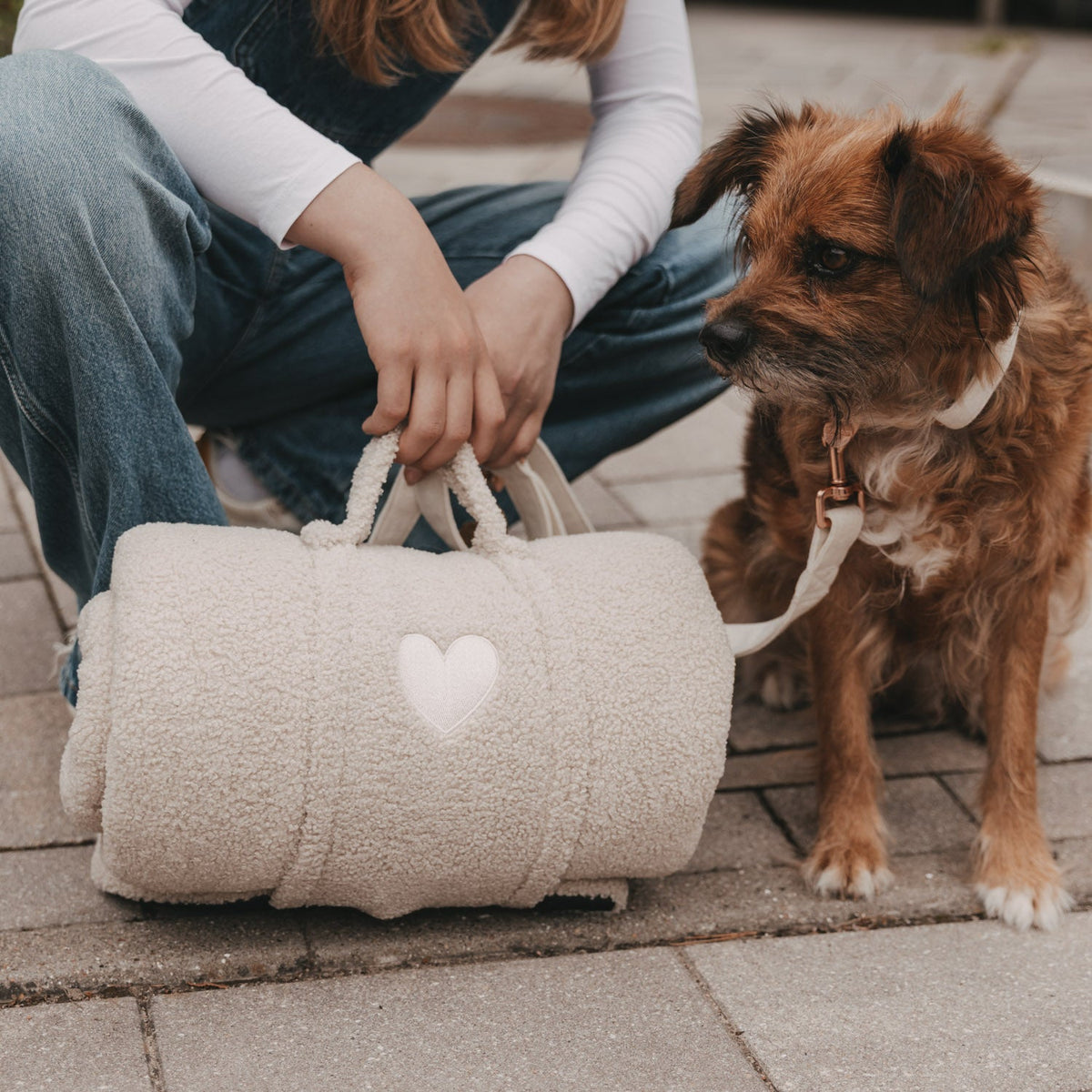 Hundedecke creme M